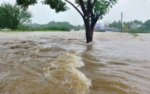 ’பட்டாசு வெடிக்கிற நேரத்துல இதையும் கொஞ்சம் கவனத்துல வெச்சிக்கோங்க’..!! பெற்றோர்களே உஷார்..!!