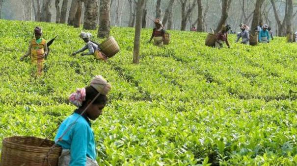 அரசுப் பள்ளியும் அவலநிலையும்..!! உயரதிகாரிகளின் அலட்சியத்தால் உயிர் பயத்தில் மாணவர்கள்..!!