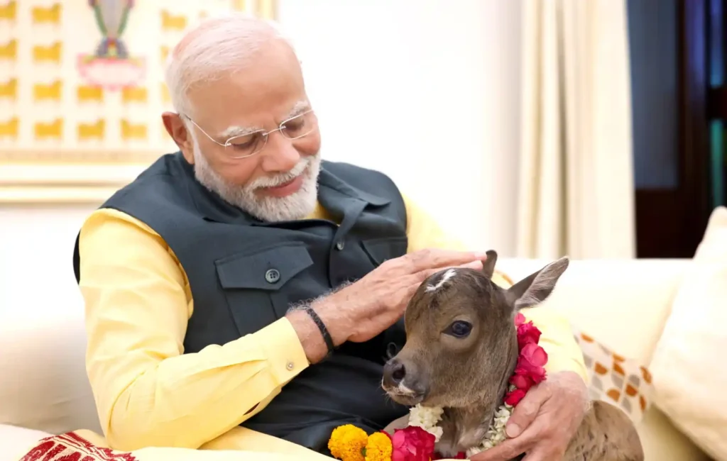 வீட்டிற்கு வந்த புது விருந்தினர்..!! கொஞ்சி விளையாடும் பிரதமர் மோடி..!! வைரலாகும் வீடியோ..!!