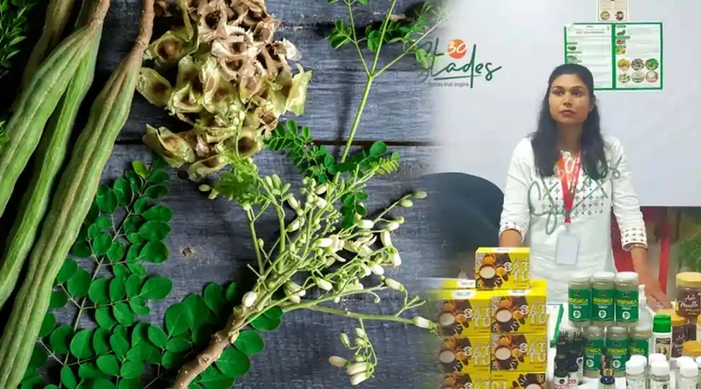 லாபத்தை அள்ளிக் கொடுக்கும் முருங்கை சாகுபடி..!! லட்சக்கணக்கில் வருமானம் பார்க்கும் பெண்..!! சாதித்தது எப்படி..?