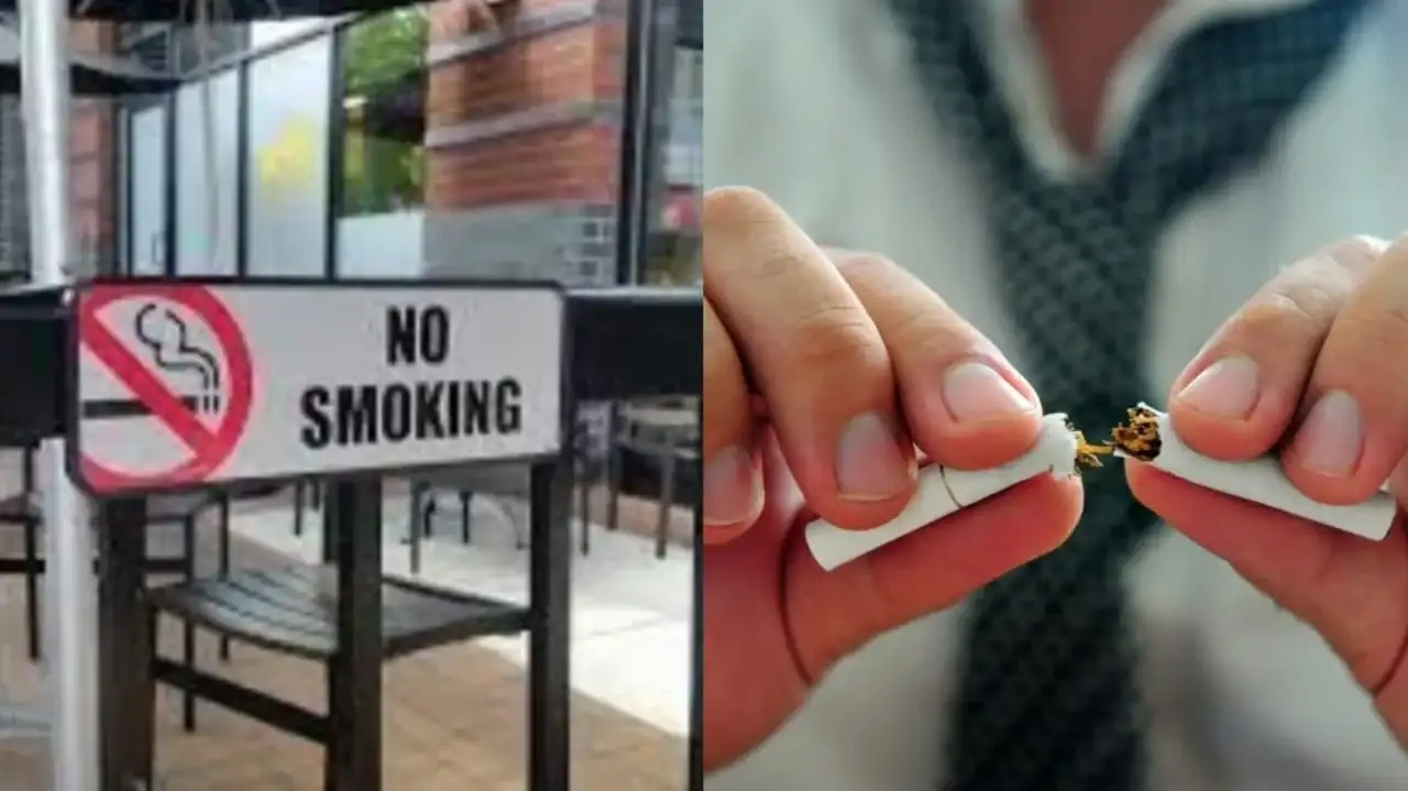 france smoking ban 11zon