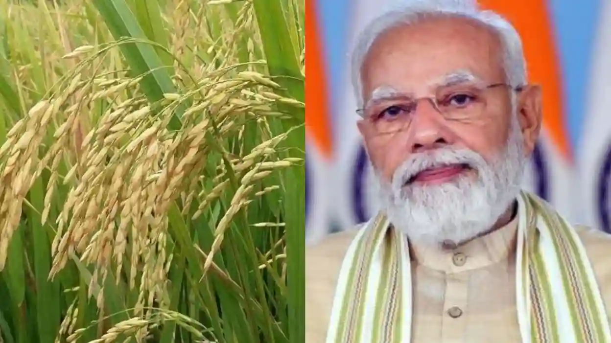 kharif season farmers 11zon