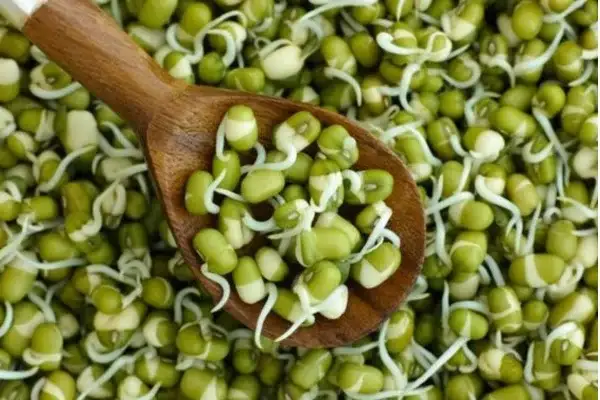 தினமும் காலையில் அதிக முளைக்கட்டிய பயறு சாப்பிடுகிறீர்களா?. ஆபத்து!. சரியான அளவு இதுதான்!.