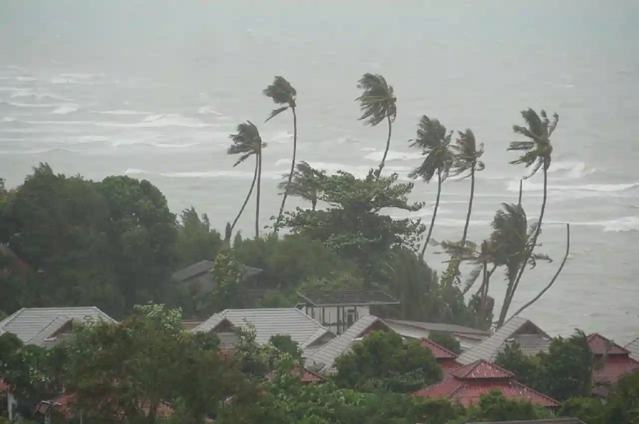 Cyclone Mocha 1