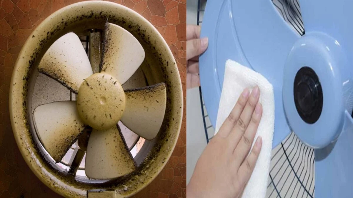 Exhaust Fan oily