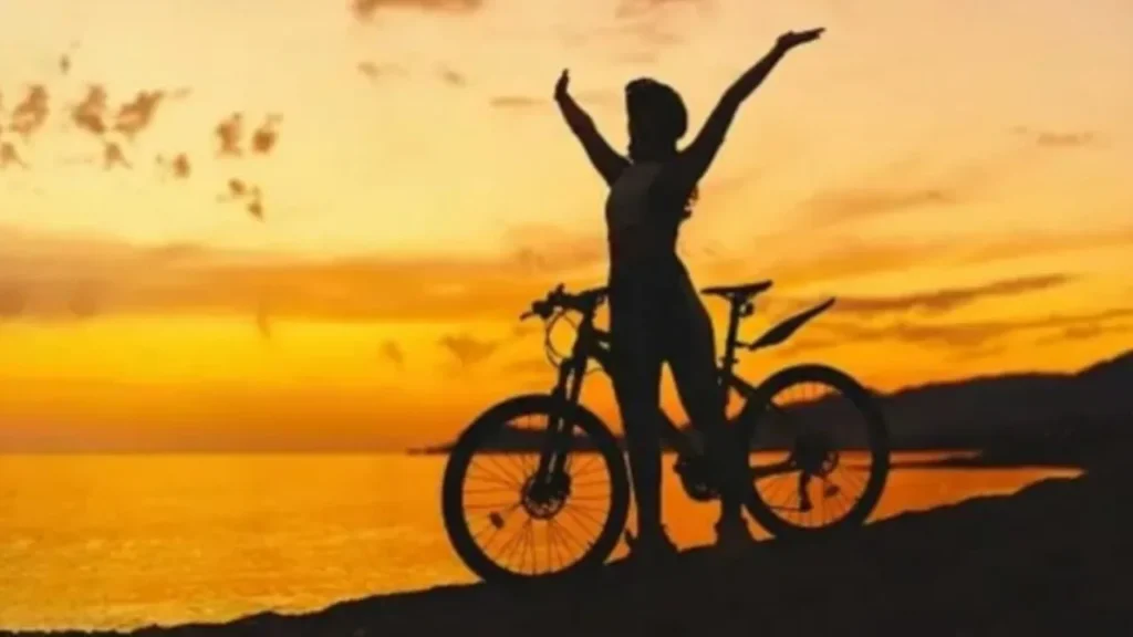 World Bicycle Day 11zon