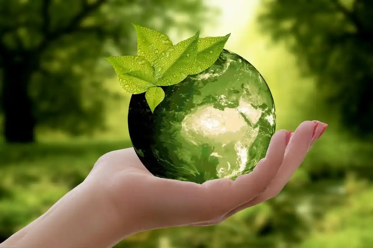 World Environment Day 11zon