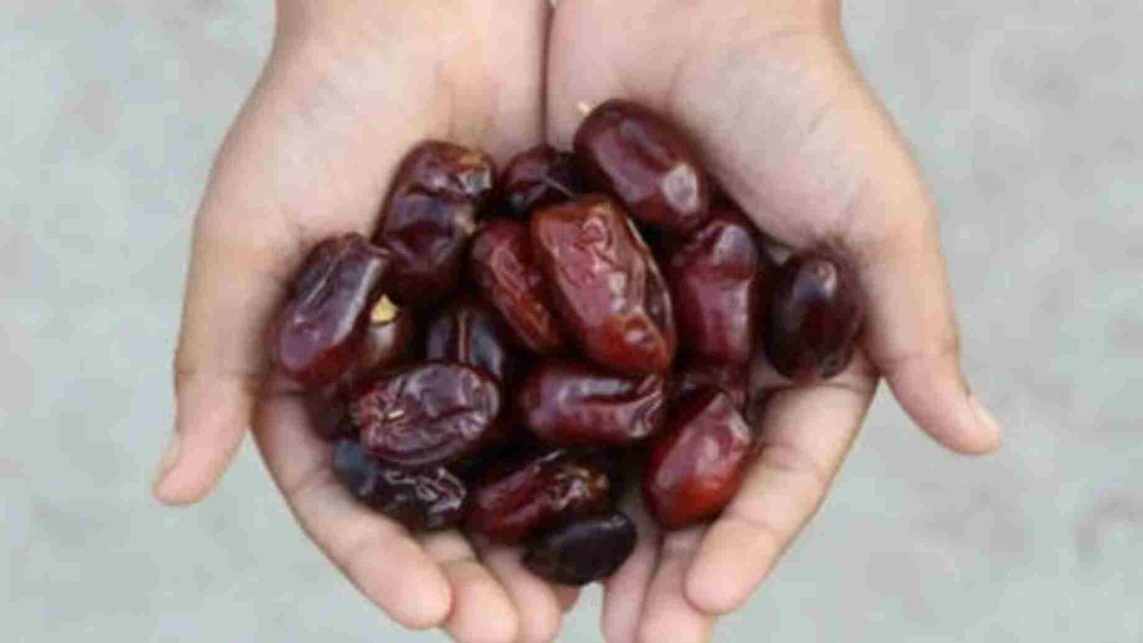 dates 11zon