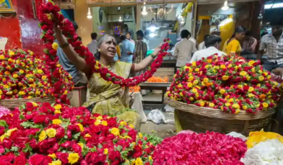 பாதியாக குறைந்த பூக்களின் விலை… விவசாயிகள் வேதனை!