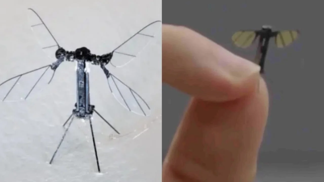 mosquito drone china
