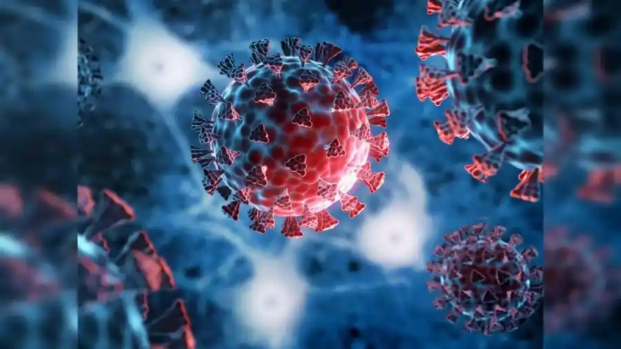 nb 1 8 1 lf 7 variants of covid detected in india check if its deadly symptoms preventive measures other details covid news 1