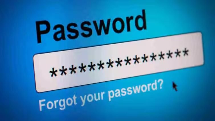password leak 11zon