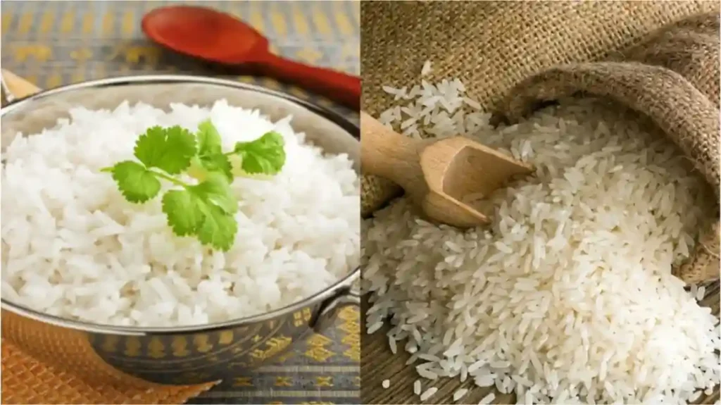 rice 11zon