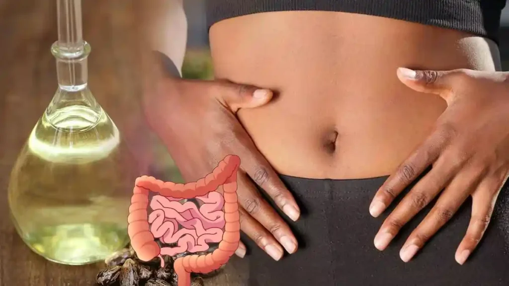 New Project 2023 09 01T135343.376 New Project 2023 09 01T135343.376