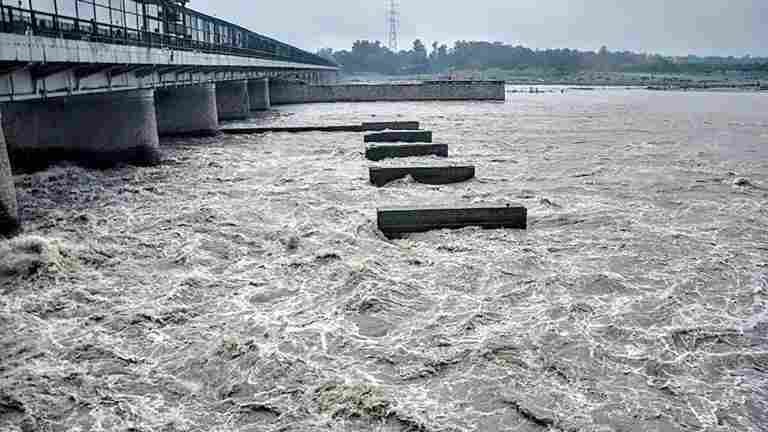 Yamuna water level danger mark 11zon