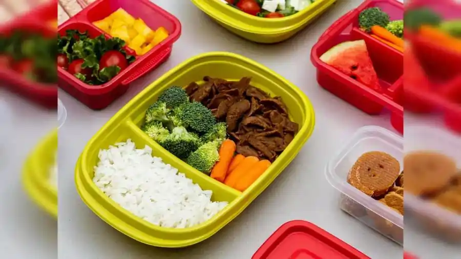 are plastic or electric lunch boxes safe for kids here are some answers 2 are plastic or electric lunch boxes safe for kids here are some answers 2