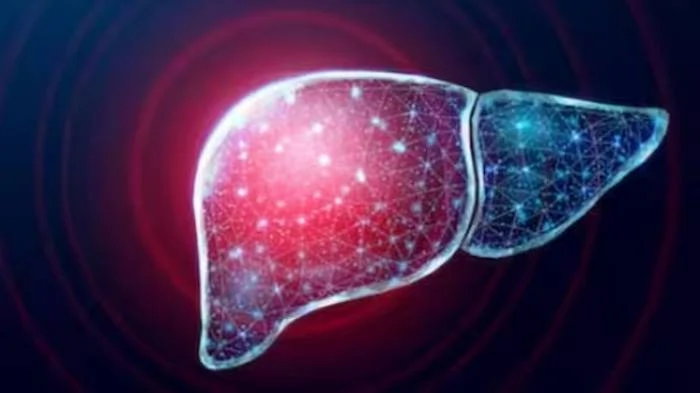 b7b42c7f31471ece0d4b7003682a106d17527504359661222 original 1