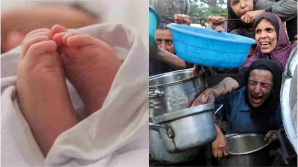 baby starves death Gaza 11zon