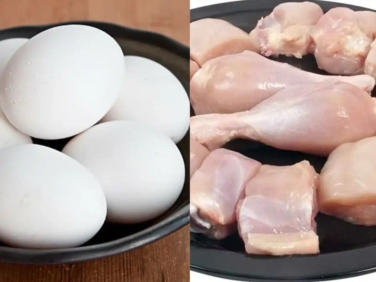 egg chicken 2025 07 2ec21ea989480ea20dace778a5f36b90 1