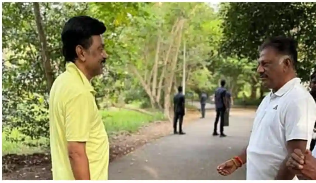 f2c9fdfd 18e9 47ee 9664 bb4cd087d797