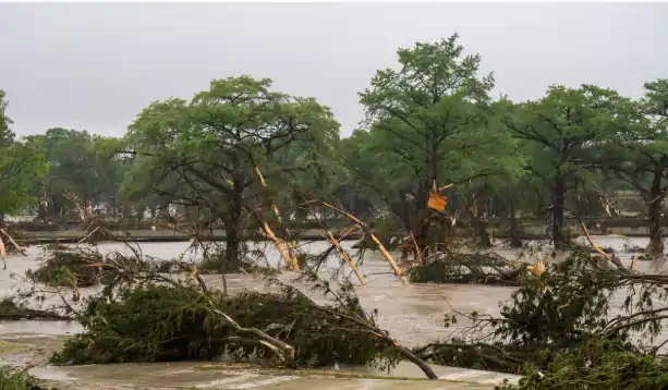 flood மத்திய டெக்சாஸை புரட்டி போட்ட வெள்ளம்.. இதுவரை 51 பேர் பலி..!! காணாமல் போனவர்களை தேடும் பணி தீவிரம்..