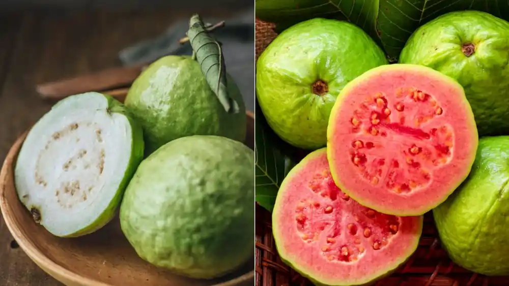 Guava