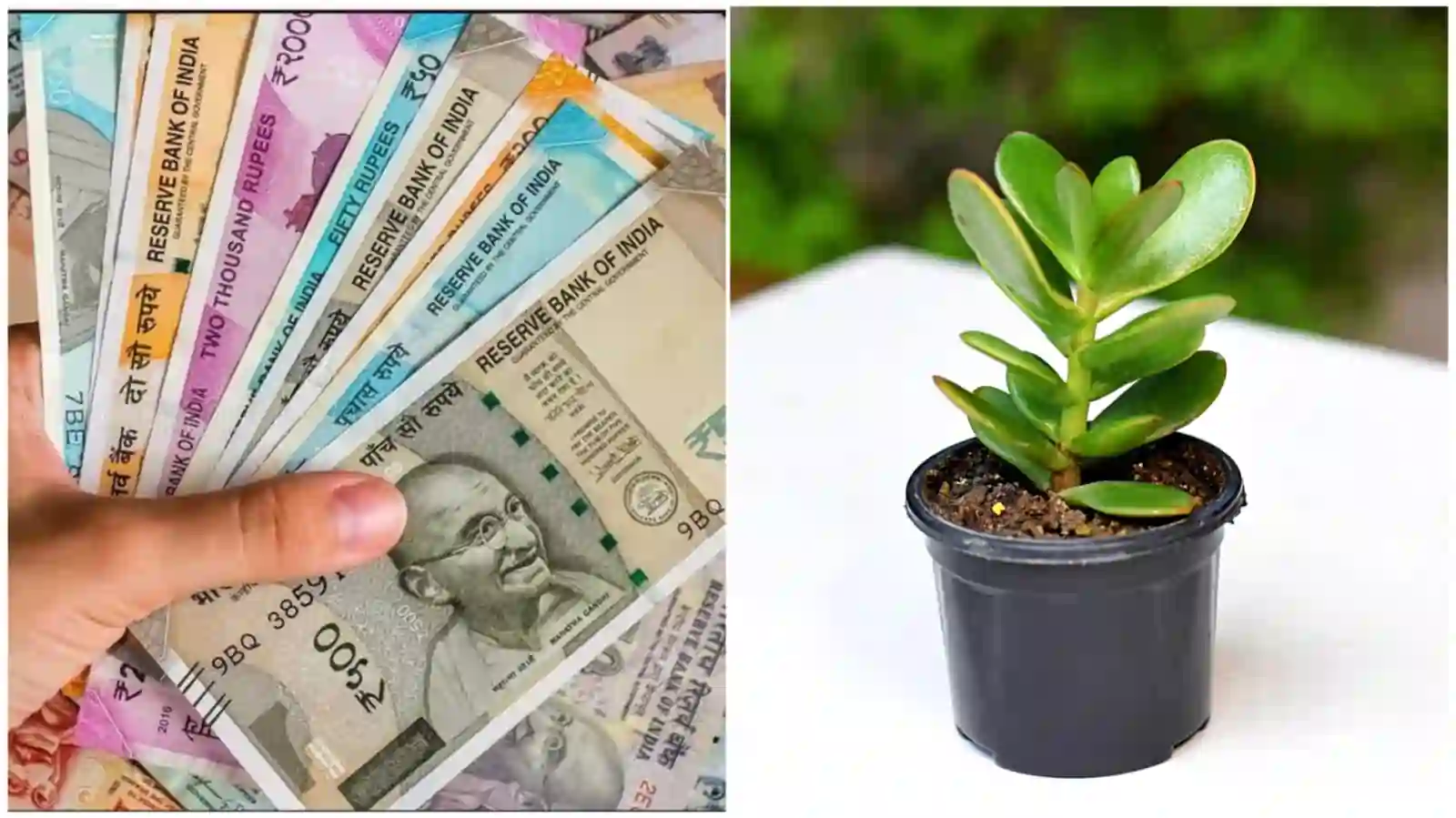 Money 2025 1 Money 2025 1