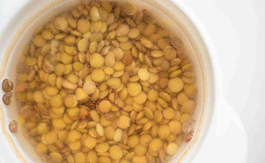 Must Soak Before Cooking 11zon சிறந்த செரிமானத்திற்கு சமைப்பதற்கு முன் ஊறவைக்க வேண்டிய 4 உணவுப் பொருட்கள்!. ஆரோக்கிய குறிப்புகள்!