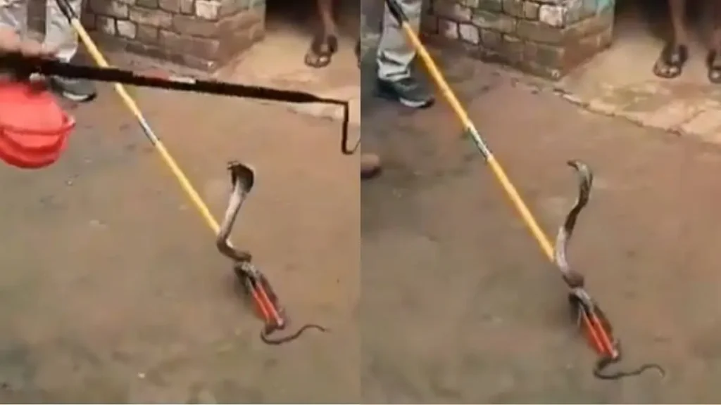 Rutunjay 2025 07 31T121400.443 Rutunjay 2025 07 31T121400.443