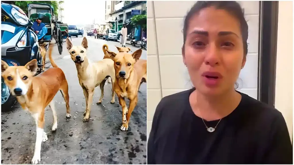 தெருநாய்கள் அப்பாவி..!! இப்படி திட்டம் போட்டு கொலை பண்ணுறீங்களே..!! நடிகை சதா வெளியிட்ட பரபரப்பு வீடியோ..!!