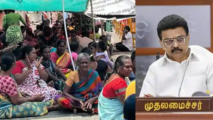 Sanitation workers Stalin