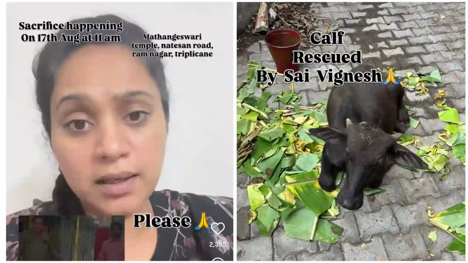 Santhiya 2025 Santhiya 2025