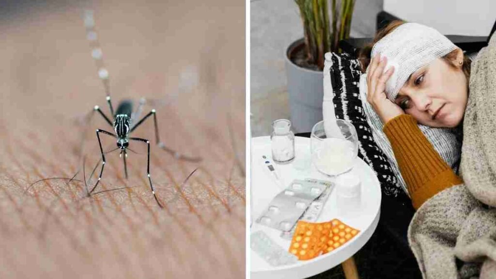 இன்று உலக கொசு தினம்!. ஆண்டுதோறும் 10 லட்சம் பேரை கொல்லும் அபாயம்!. டெங்கு, மலேரியாவிலிருந்து பாதுகாப்பாக இருப்பது எப்படி?. எளிய டிப்ஸ் இதோ!