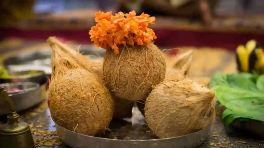 coconut auction coconut auction