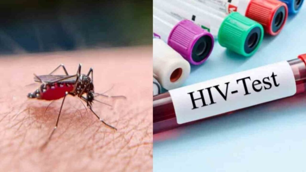 கொசுக்களால் ஒருவரிடமிருந்து மற்றொருவருக்கு HIV வைரஸை பரப்ப முடியுமா?. உண்மை என்ன?.