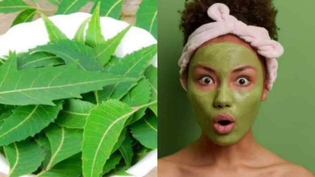 neem leaves skin care 11zon neem leaves skin care 11zon