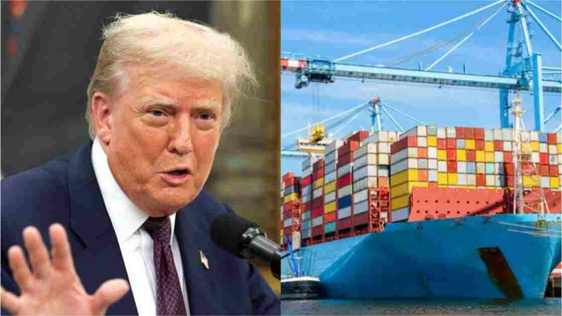 tariffs which sectors will impact 11zon tariffs which sectors will impact 11zon