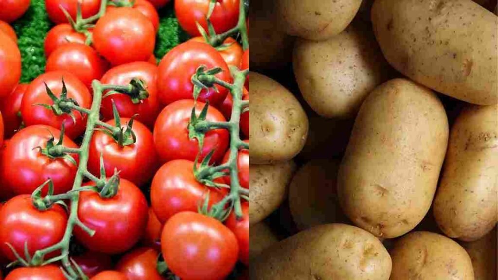 tomato potato 11zon