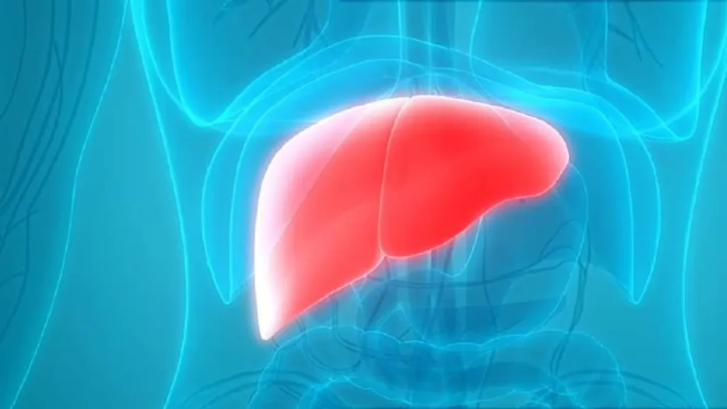 w 1280h 720imgid 01jzw9ppknnnvwfxx26v9qfwmximgname liver cirrhosis 3 1752222620277 ஜாக்கிரதை.. இந்த சிறிய நோய்கள் கூட ஃபேட்டி லிவரின் அறிகுறியாக இருக்கலாம்! கவனிக்கவில்லை எனில் பெரும் சிக்கல்..