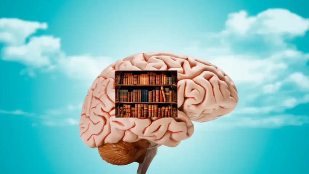 60 வயசுலயும் உங்க மூளை 20 வயசு போல வேலை செய்யணுமா? அப்ப இந்த உணவுகளை தினமும் சாப்பிடுங்க..