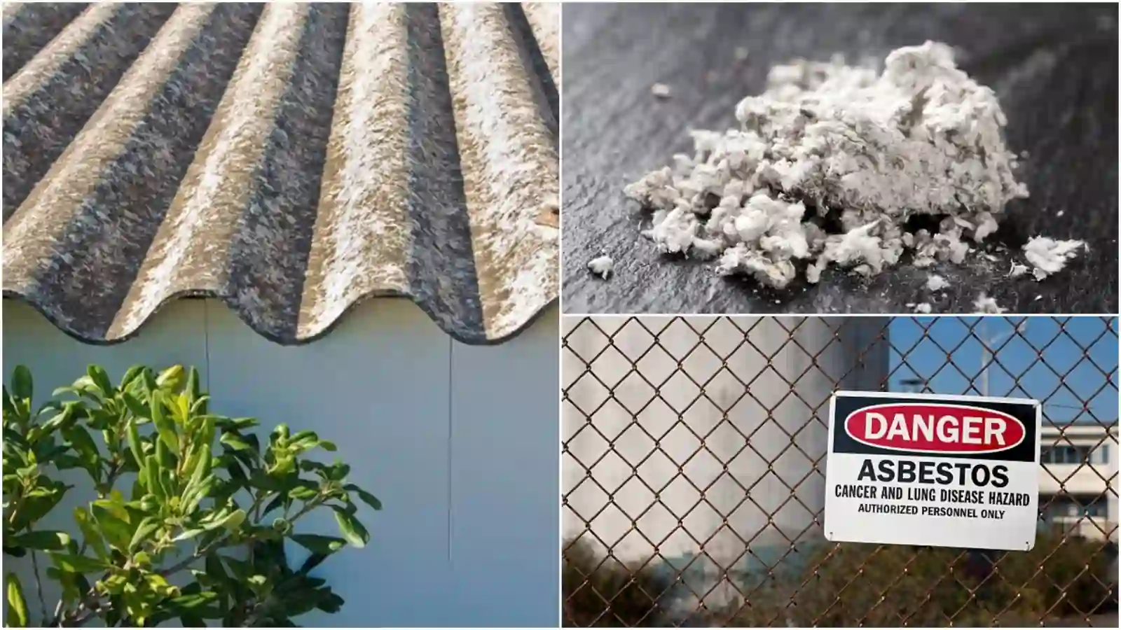 Asbestos Disease 2025