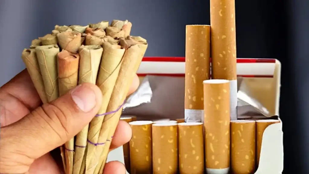 Beedi vs Cigarette 1 Beedi vs Cigarette 1