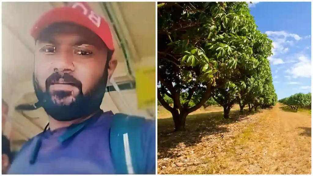 Crime 2025 7 Crime 2025 7