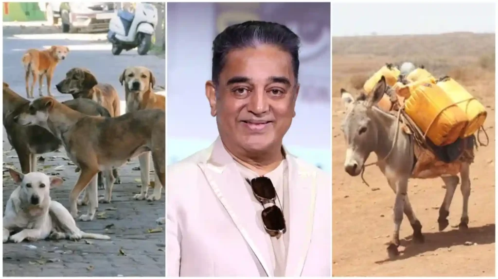 “நாய் பிரச்சனைக்கு தீர்வு கேட்டா கழுதை கதை சொல்லிட்டு போறாரு”..!! வழக்கம்போல் மக்களை குழப்பிவிட்ட ஆண்டவர்..!!