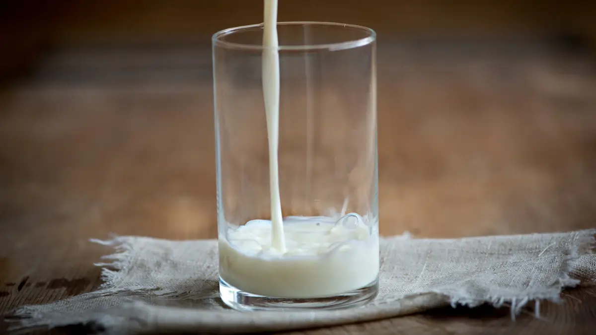 Milk Milk