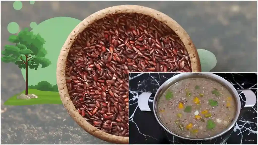 Rice 2025 Rice 2025