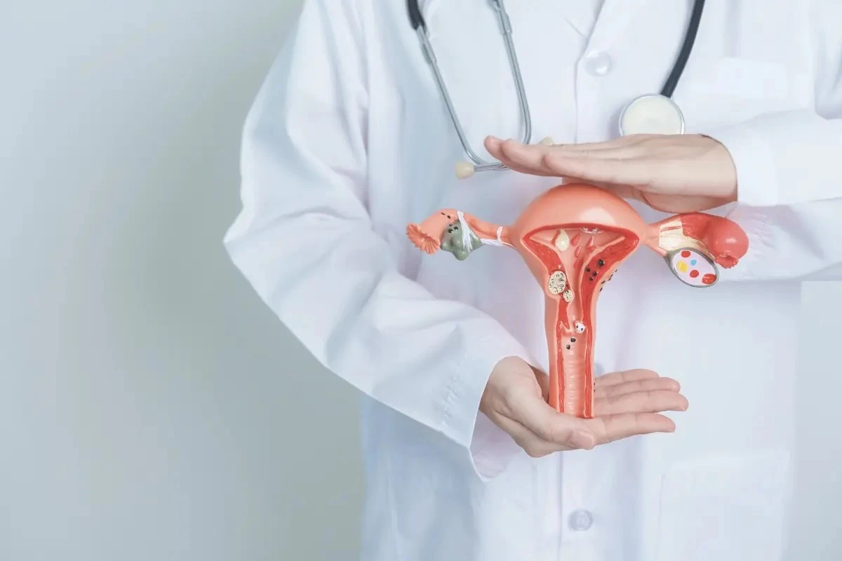 Uterus 2025 Uterus 2025
