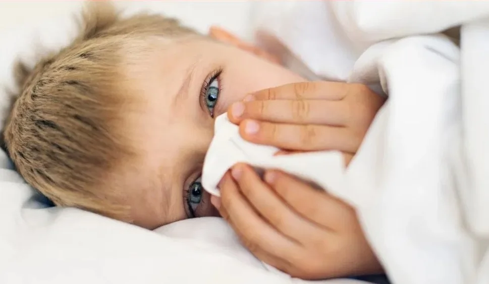 Viral Fever Viral Fever