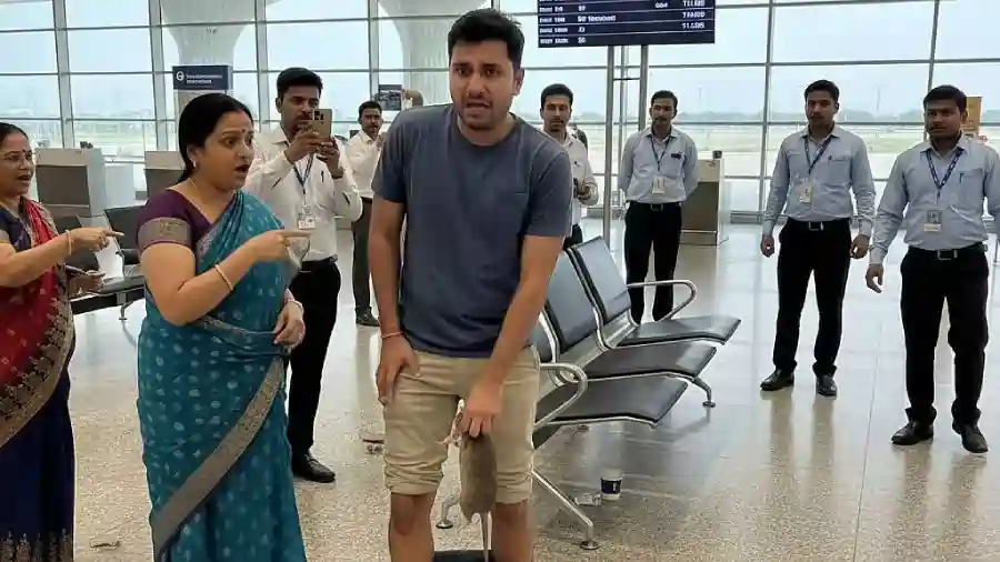 விமான நிலையத்தில் பயணியின் பேண்ட்டில் நுழைந்து, கடித்த எலி.. ரேபிஸ் ஊசி கிடைக்கல.. பின்னர் நடந்தது என்ன?