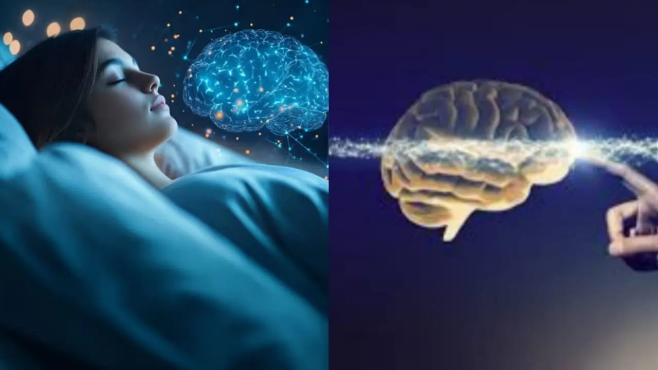 brain before death brain before death